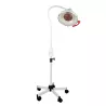 LAMPE INFRAROUGE 250 W LID