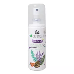 BRUME AUX HUILES ESSENTIELLES NATURELLE PURIFIANT - ECOCERT