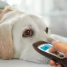 THERMOMETRE VISOFOCUS VETERINAIRE BLUETOOTH