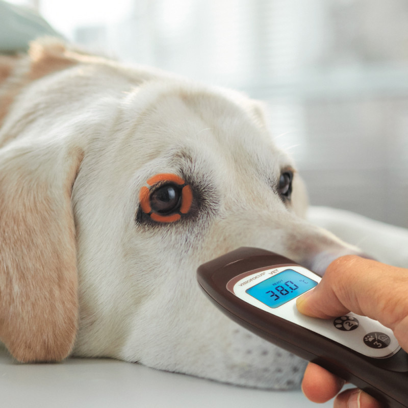 Thermometre visofocus veterinaire bluetooth - Drexco Médical