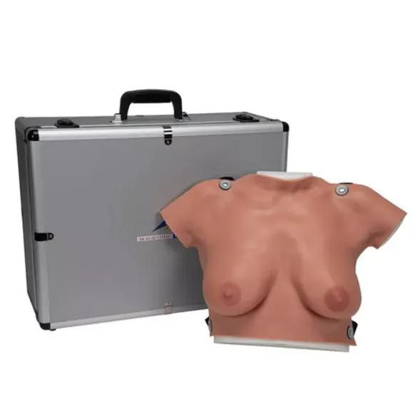 MODÈLE DE PALPATION MAMMAIRE SILICONE SKINLIKE 3B SCIENTIFIC - avec valise et planche