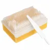 BROSSE CHIRURGICALE SECHE STÉRILE  AVEC CURE-ONGLE - COLIS DE 25