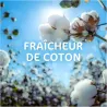 LESSIVE CAPSULES ANTI-ODEUR SKIP - boîte de 33 pods