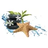 BOUGIE DE MASSAGES AUX HUILES ESSENTIELLES