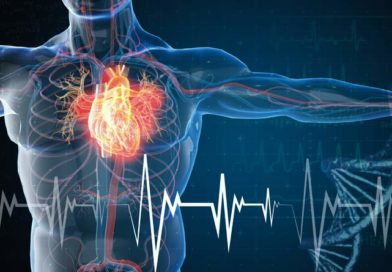 Comment préserver une santé cardiovasculaire idéale ?